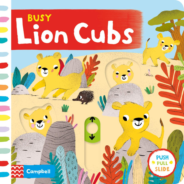Book cover of Busy Lion Cubs by Campbell Books