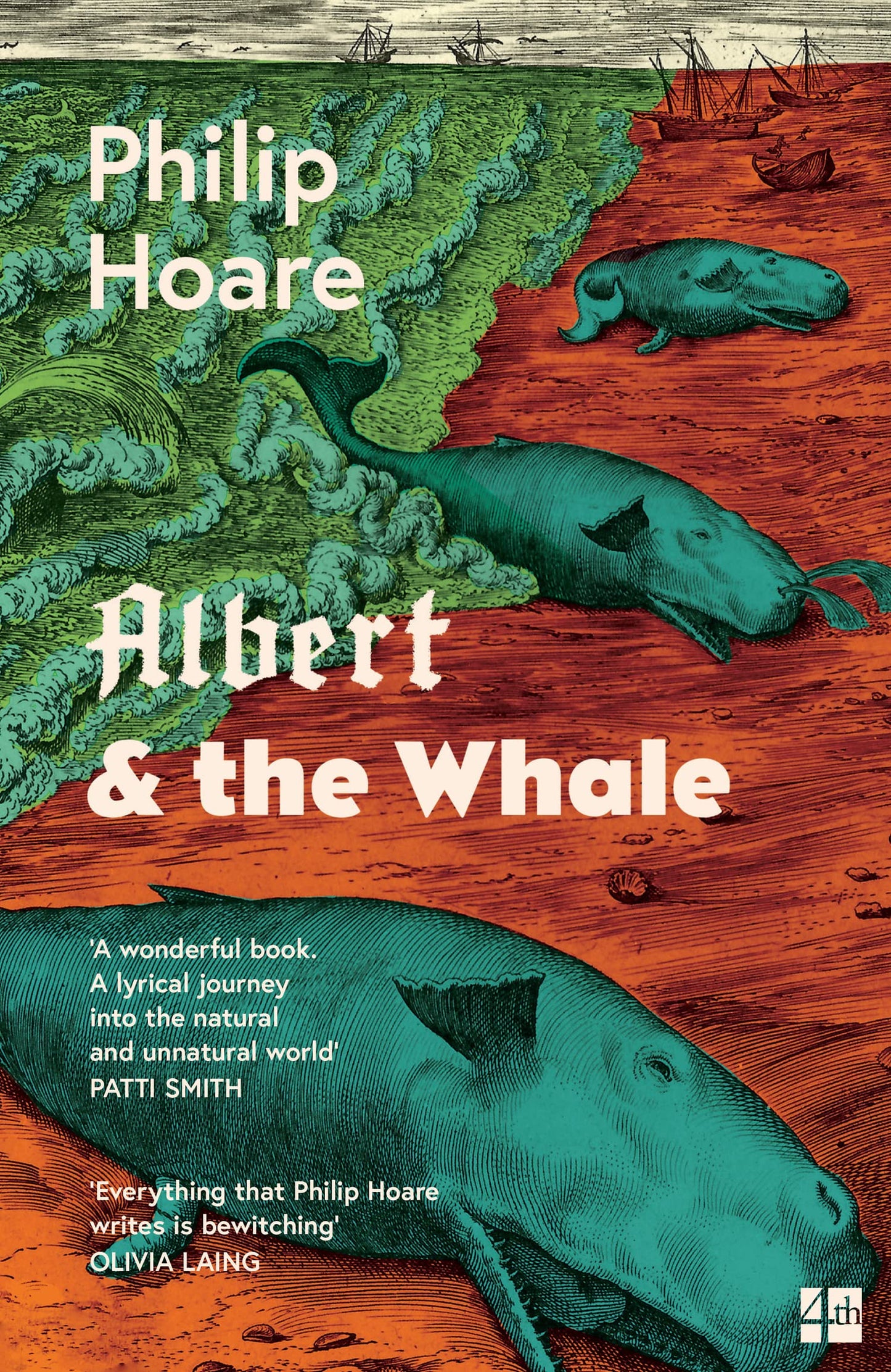 Book cover of Albert & The Whale by Philip Hoare