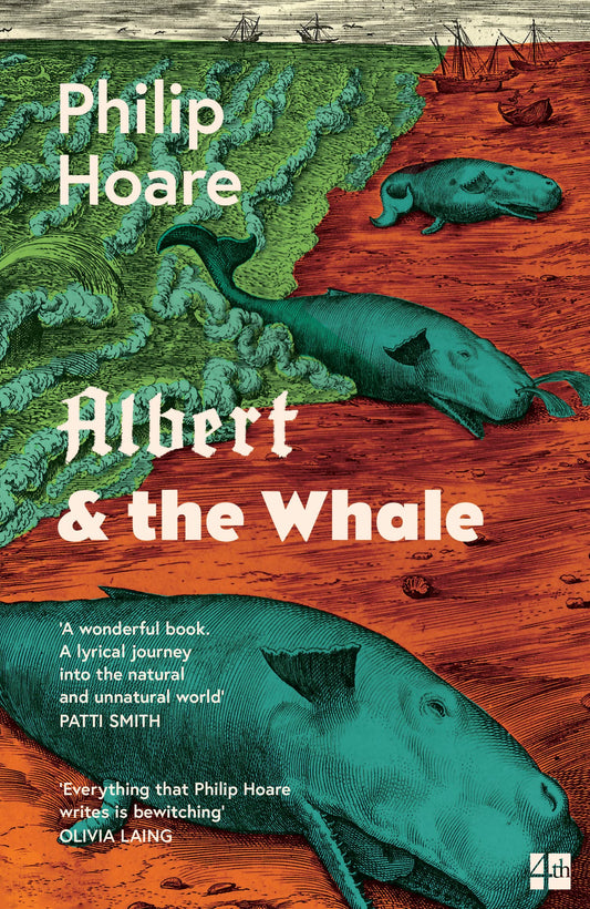 Book cover of Albert & The Whale by Philip Hoare
