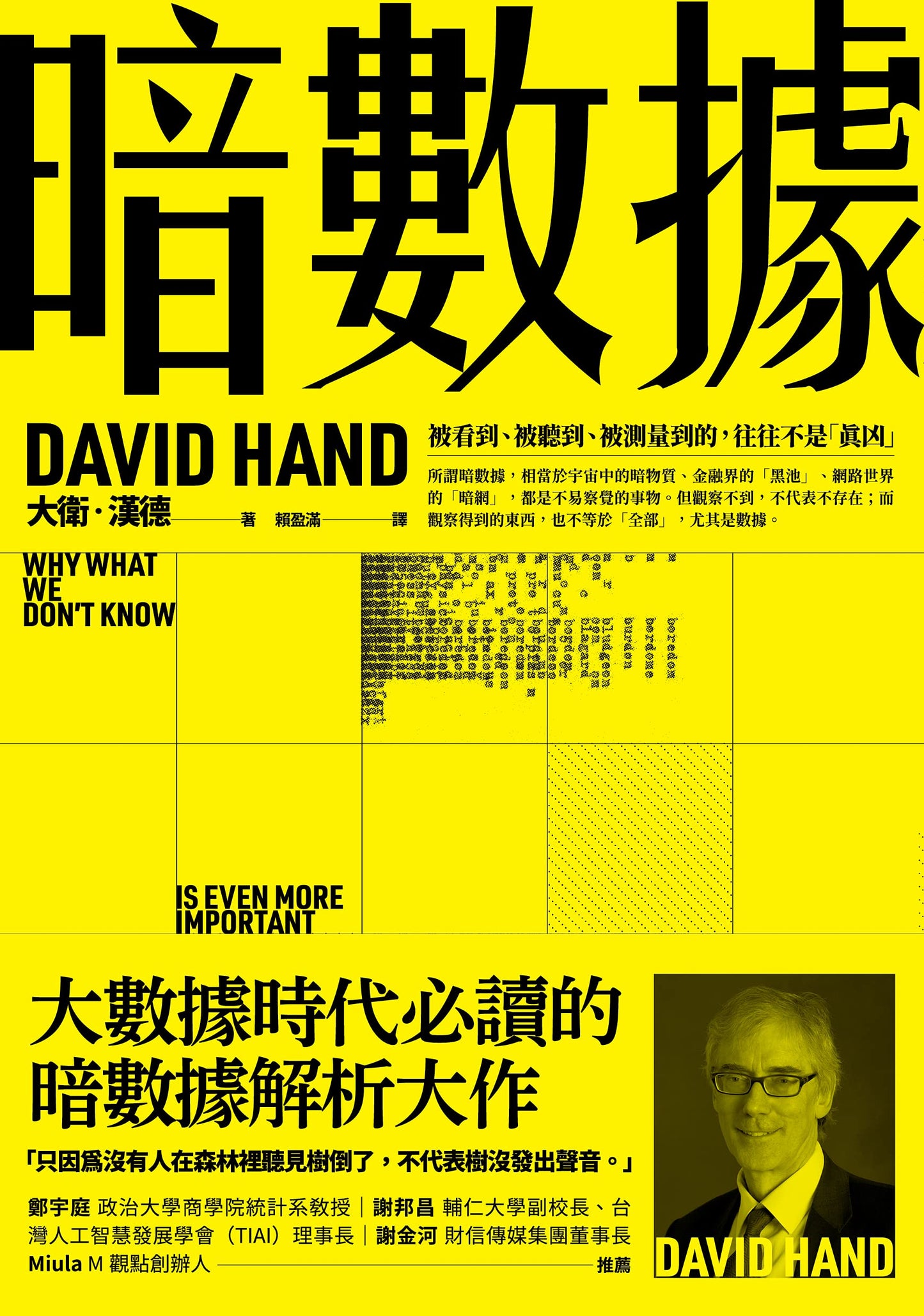 Book cover of 暗數據: 被看到、被聽到、被測量到的，往往不是「真凶」 Dark Data by David J. Hand, 賴盈滿 (Trans.)