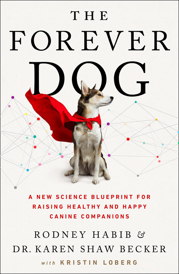Book cover of The Forever Dog by Rodney Habib
