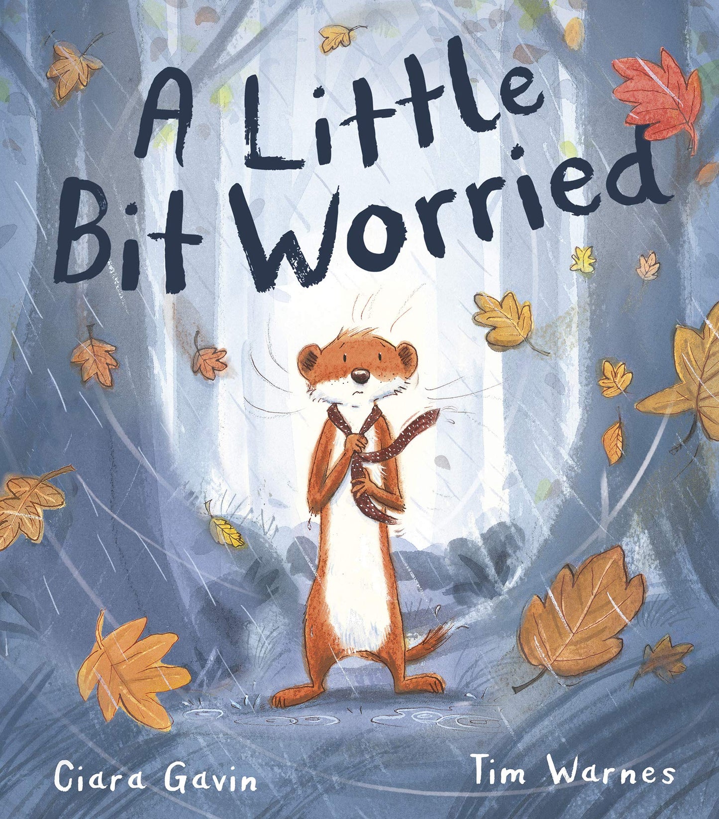 Book cover of A Little Bit Worried by Ciara Gavin