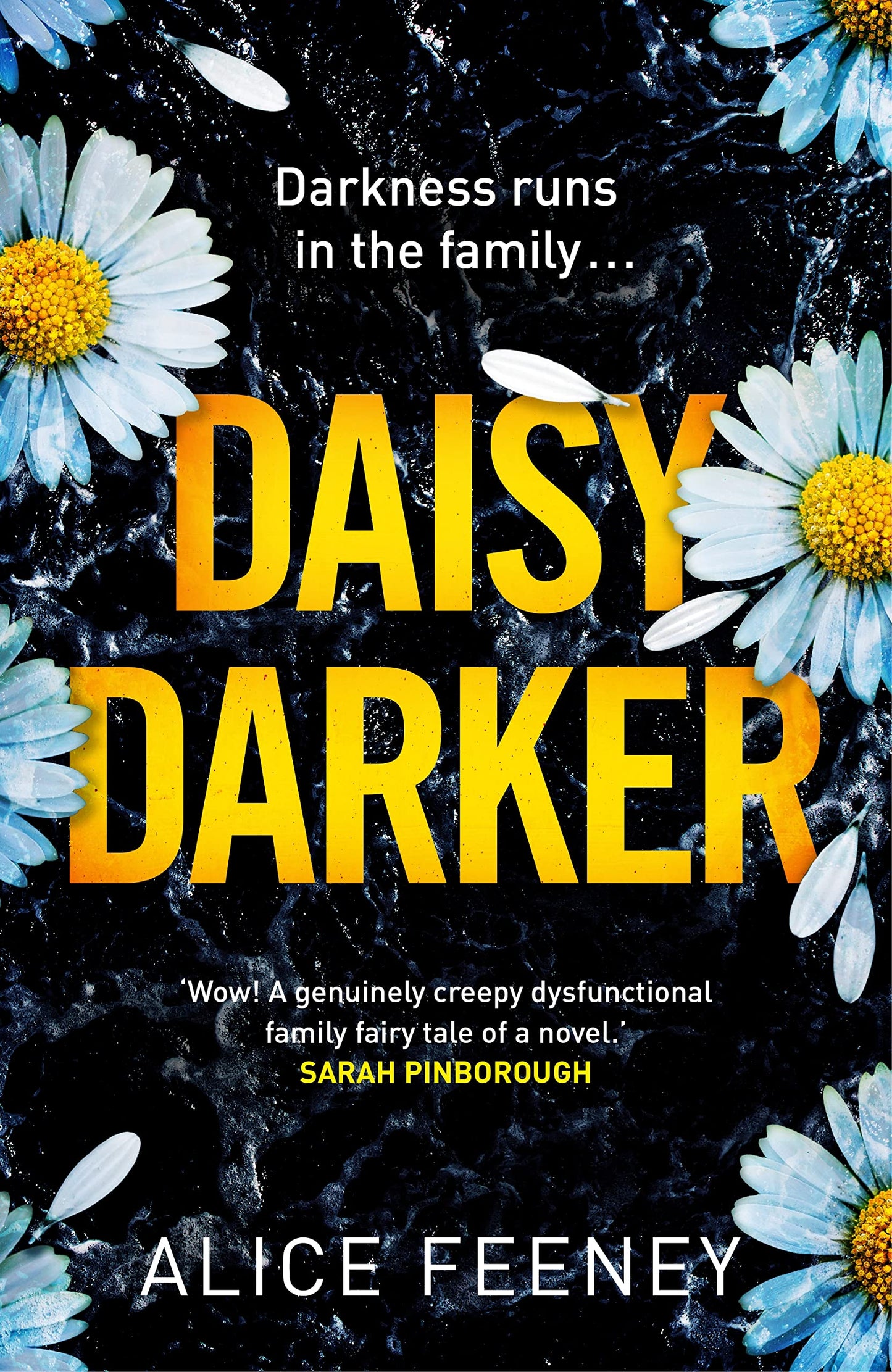 Book cover of Daisy Darker by Alice Feeney