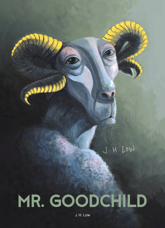Book cover of Mr Goodchild by J.H. Low