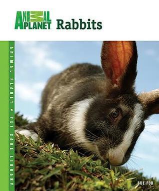 Book cover of Rabbits by Sue Fox
