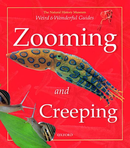 Book cover of Zooming And Creeping by Barbara Taylor