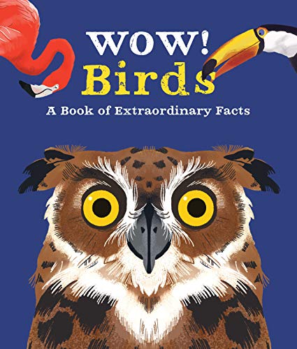Book cover of Wow! Look What Birds Can Do by Camilla de la Bédoyère