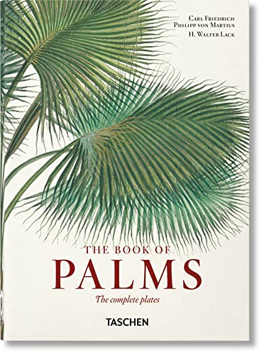 Book cover of Von Martius. The Book of Palms by H. Walter Lack