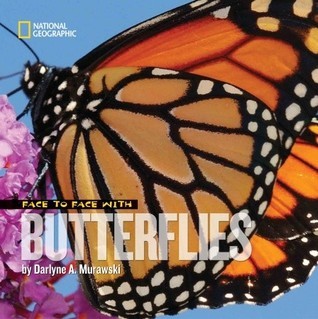 Book cover of Face To Face With Butterflies by Darlyne Murawski