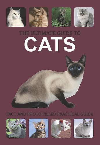 Book cover of The Ultimate Guide To Cats by Emily Williams