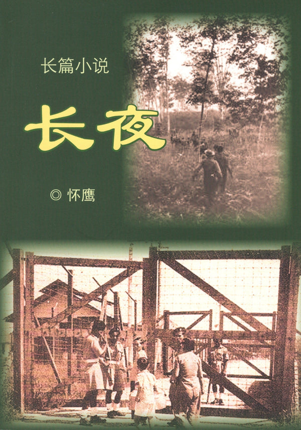 Book cover of 长夜 by 怀鹰
