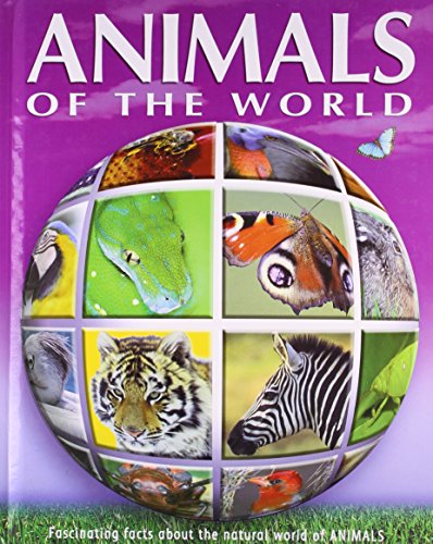 Book cover of Animals by Unknown