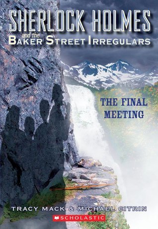 Book cover of The Final Meeting by Tracy Mack, Michael Citrin