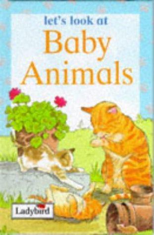 Book cover of Baby Animals by Karen Bryant Mole