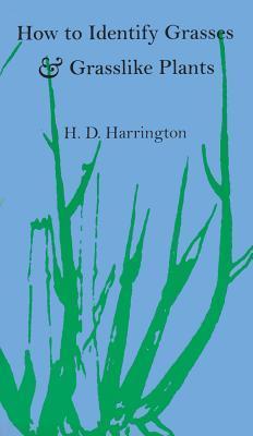 Book cover of How To Identify Grasses And Grasslike Plants by H.D. Harrington