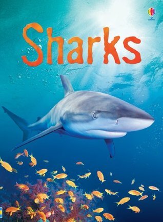 Book cover of Sharks (Usborne Beginners) by Catriona Clarke