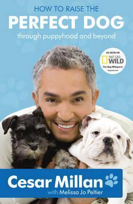 Book cover of How to Raise the Perfect Dog by Cesar Millan