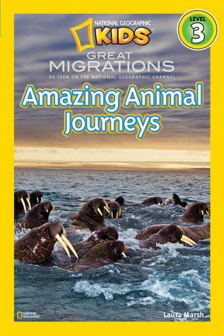 Book cover of Great Migrations: Amazing Animal Journeys by Laura Marsh