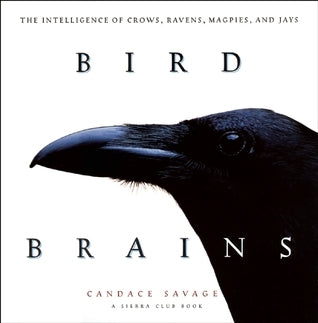 Book cover of Bird Brains: The Intelligence Of Crows, Ravens, Magpies, And Jays by Candace Savage