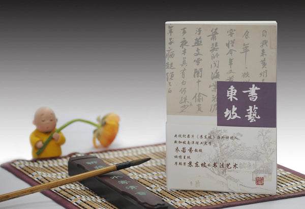 Book cover of 书艺东坡 by 新华书店北美网